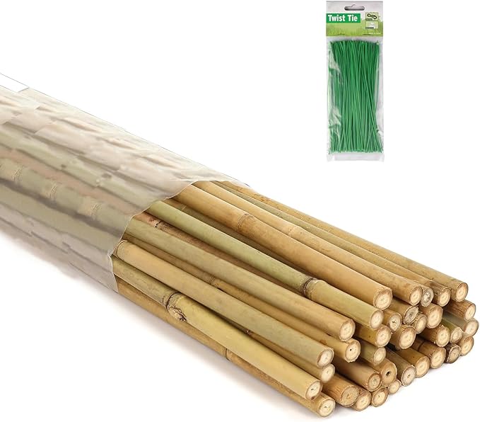 6 Ft Bamboo Stakes with 100 Twist Ties Natural Bamboo Garden Stakes for Tomatoes Cucumber Grapes Pole Beans Trees Potted Dahlia Flowers and Climbing Plants - Pack of 20 Bamboo Sticks