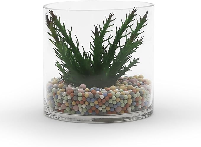 WGVI Thick Weighted Clear Right Cylinder Glass Vases, 6" W x 6" H, Equilateral Cylinder Glass Candle Holders Wedding Flower Arrangement Centerpieces Storage Container Brush Pen Holder, 1 Piece