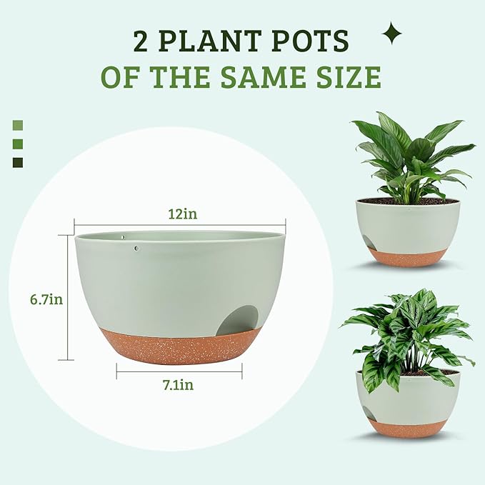 Plant Pots 12inch Self Watering Pots, Set of 2 Plastic Planters with Drainage Holes and Saucers, Flower Pots for Indoor Outdoor Plants (Green)