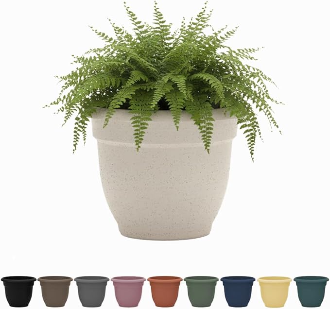 Bloem Ariana 8" Vanilla Bean Round Self-Watering Resin Planter Pot - Rolled Rim Indoor and Outdoor Gardening Planter