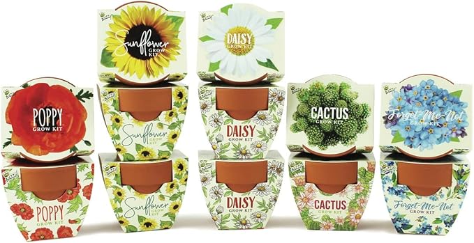 BUZZY Seeds Mini Terracotta Pots 12-Pack with Plant Seeds, Poppy, Sunflower, Daisy, Cactus and Forget Me Not, All-in-One Seed Starter Kit, Indoor Outdoor Gardening Gift, Wedding Favors, Mother's Day