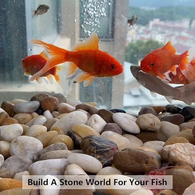 Pebbles for Indoor Plants, Natural Polished River Rocks, Small Decorative Mixed Color Stones for Planters Vase Fish Tank Aquariums Landscaping Garden, 5lbs