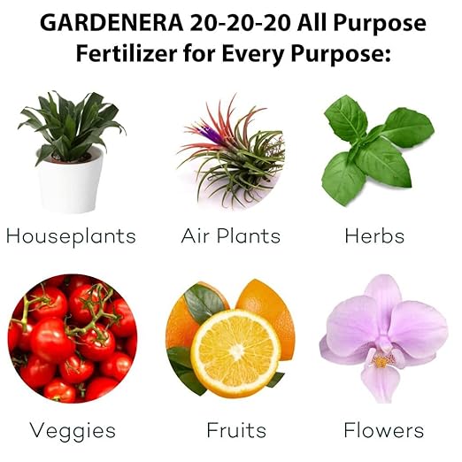 𝐁𝐄𝐒𝐓𝐒𝐄𝐋𝐋𝐄𝐑 20-20-20 Water-Soluble Fertilizer – Powder for Liquid Plant Food for Indoor & Outdoor Plants, Orchids, Vegetables, Lawns, Flowers – 20 20 20 Fertilizer - 10 Quarts
