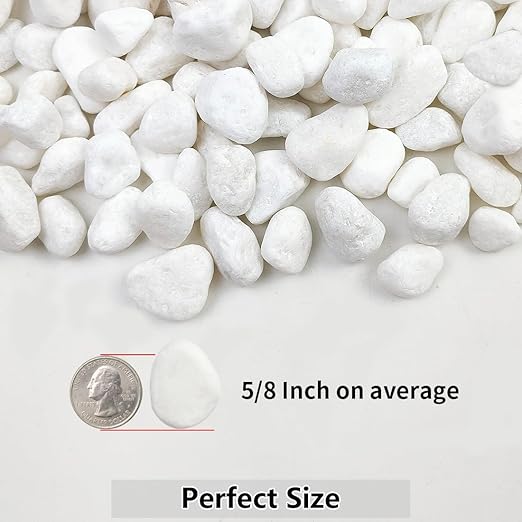 10lb White River Rocks, 5/8 Inch Natural Pebbles for Indoor Plants, Snow White Decorative Stones, Ideal for Fish Tank, Vases, Crafting, Home Decor and Garden Landscaping Rocks