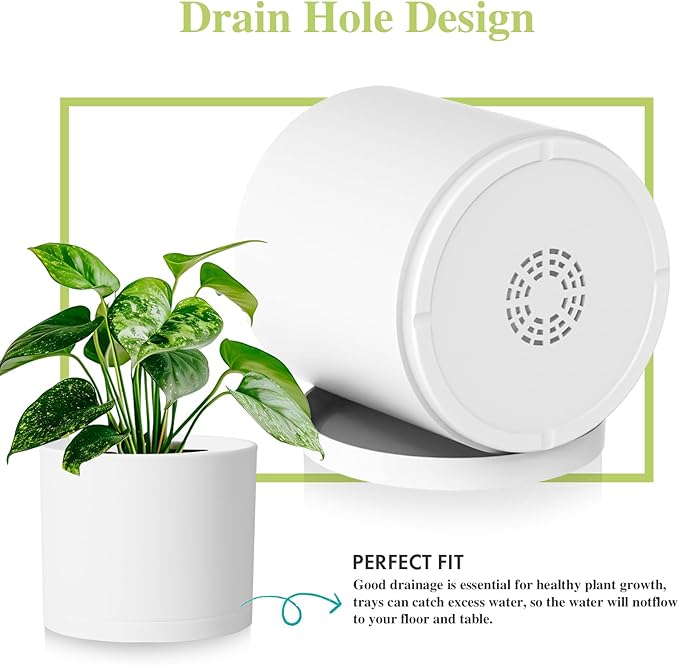 Large Plant Pots Set of 3 – 8", 9", 10" Indoor Flower Pots with Drainage Holes and Saucers, Big Planters for Monstera, Fiddle Leaf Fig, Snake Plant – 5 Colors