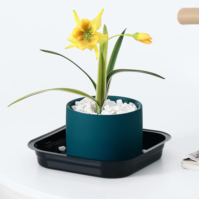 10 Inch Plant Saucer 30 Pack Plant Trays for Pots Square Plant Pot Saucers for Outdoors and Indoors Plant Water Catcher Tray Plastic Plant Trip Trays Saucers for Potted Plants Planter Dishes