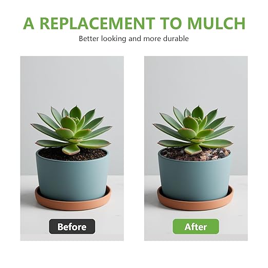 2.5lbs Mix Horticultural Lava Rocks for Plants, 1/5 Inch Potting Soil Amendment for Succulents, Cacti, Bonsai, Decorative Gravel Plant Drainage Volcanic for Terrarium, Top Dressing