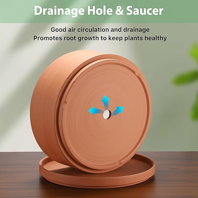 JUXYES 10 Inch Terracotta Shallow Pot with Holes and Saucers, Round Cylinder Succulent Planter Clay Flower Pots for Indoor and Outdoor Use, Decorative Bonsai Succulent for Mini Foliage Plants Orchids