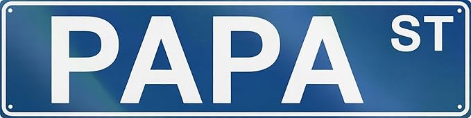 WSUPBPR Papa St Metal Sign 4x16in Street Sign Plaque for Man Cave Wall Decor Family