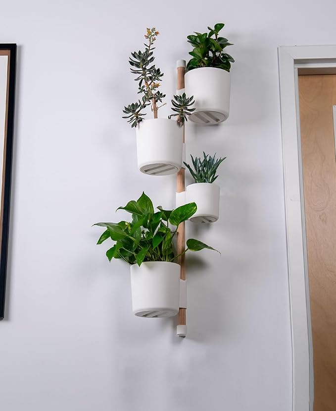 Lofted Goods The Rail Wall Mounted Vertical Plant Holder, White Planters with Wooden Dowel, 36 Inch, Indoor Hanging Garden Display, Contemporary Home Decor