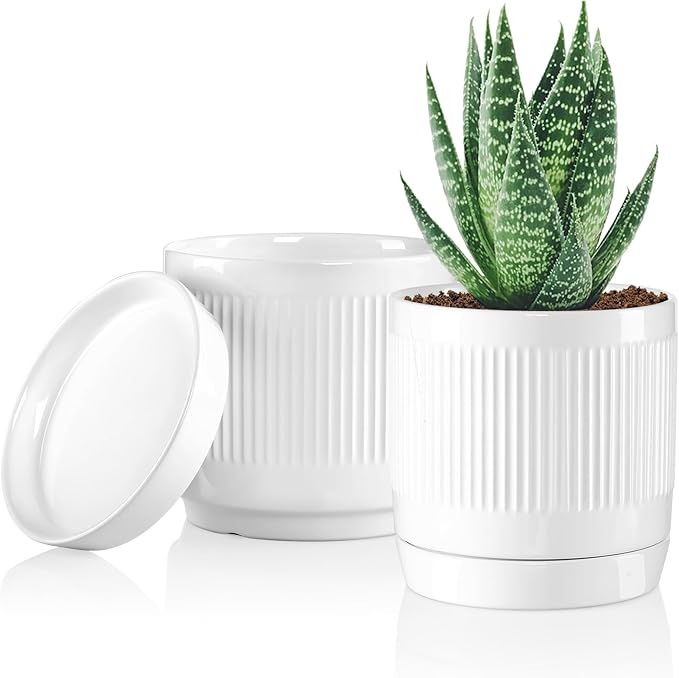 Vanavazon 6 Inch Glazed Ceramic Plant Pots Indoor with Drainage Hole and Saucer, Cylinder Indoor Planters for All House Plants, Modern Decor for Home & Office, Set of 2 (White)
