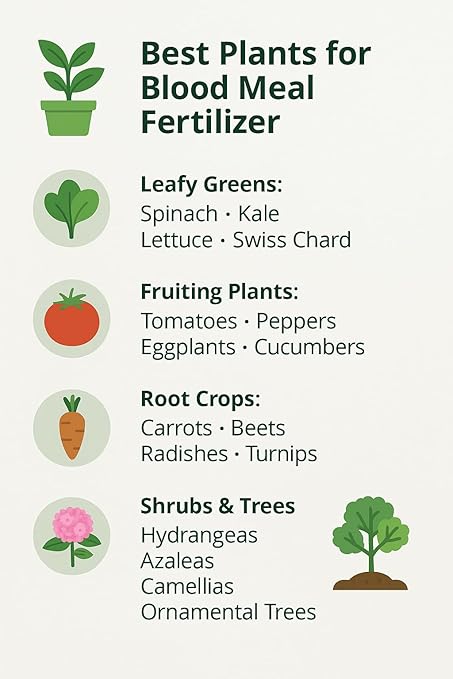 𝐁𝐄𝐒𝐓𝐒𝐄𝐋𝐋𝐄𝐑 Organic Blood Meal Fertilizer by Gardenera - 12-0-0 NPK - All-Natural Plant Food Source of Nitrogen for Organic Gardening, Flowers, Vegetables, Trees & Shrubs - 3 QUARTS