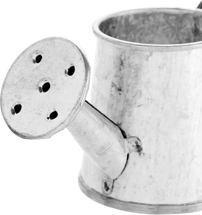 Juvale Mini Watering Can - 3 x 1.6 in, Silver, 12-Pack - Plant Waterer & Indoor Water Pot for Plants - Garden Watering Can & Home Decor Accessories