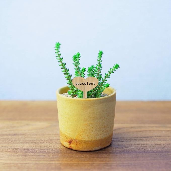 ONLYKXY 30 Pieces Plant Labels, Bamboo Plant Seed Labels Set, Wooden Plant Sign Tags, Nursery Garden Herbs Flowers Vegetables Seed Potted Plants Markers (Heart Shaped Plant Labels)