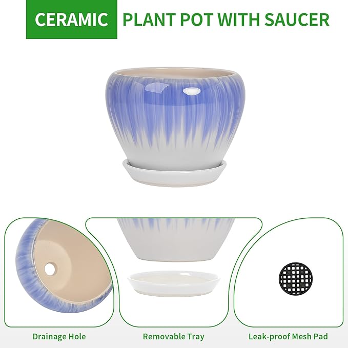 Deep Dream 6 Inch Plant Pots- Ceramic Planter Pot with Drainage Hole and Saucer, Round Flower Pot for Indoor Outdoor Succulent, Snake Plants and Cactus, White&Blue