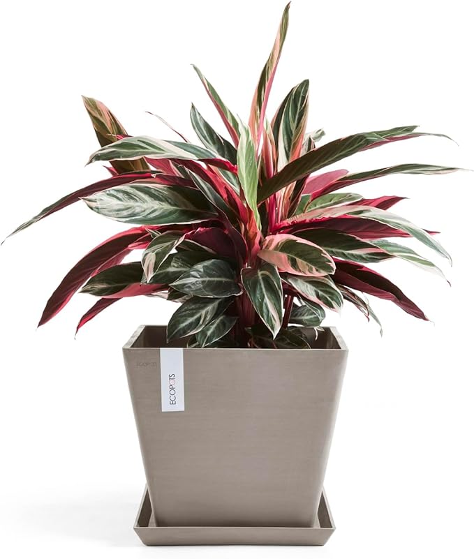 Ecopots Rotterdam Durable Modern Square Indoor/Outdoor Recycled-Based Composite Flower Planter, Taupe, 12"