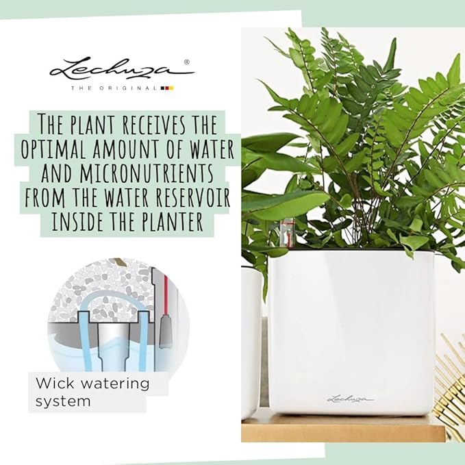 Lechuza Cube Glossy 16 Charcoal High Gloss, Self-Watering Indoor Small Plant Pot, H6.3 L6.7 W6.7 in