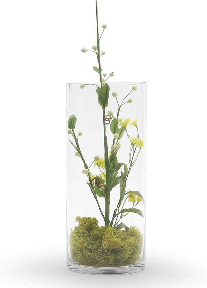 WGV Cylinder Vase Bulk, Width 6", Height 12", Clear Glass Container Terrarium Candle Holder for Wedding Centerpiece, Party Event, Home Office Decor, 6 Pieces