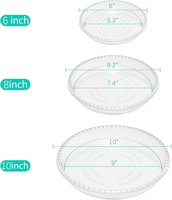 6 Pack Clear Plant Saucer 6 8 10 inch, Durable Plastic Plant Trays for Indoor, Round Flower Plant Pot Saucer, Sturdy Plant Water Catcher Tray