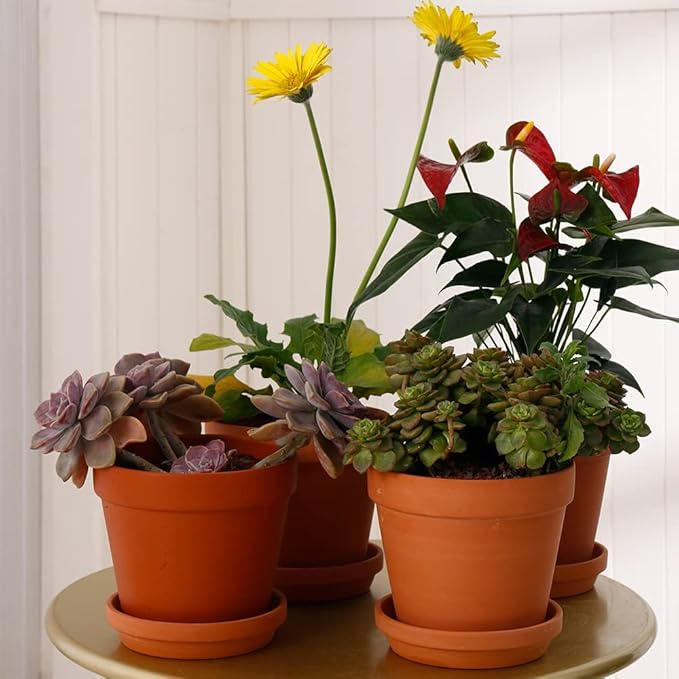 Yishang 6 Inch Middle Terracotta Pot Plant Saucer - 8pcs Middle Round Plant Pot Saucers, Middle Clay Plant Tray Perfect for 5/5.5/6 Inch Flower Pot with Drainage Hole and Great for Indoor or Outdoor