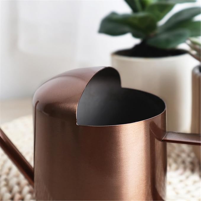 Watering Can for Indoor Plants, Small Watering Cans Sprinkling Pot for Greenhouse Garden Flower Plants, Stainless Steel Long Spout Water Can for Outdoor Watering Plants, 300ML/0.08 Gallon (Copper)