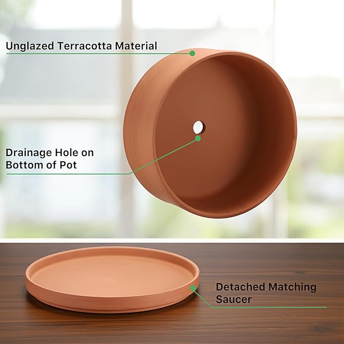 JUXYES 10 Inch Terracotta Shallow Pot with Holes and Saucers, Round Cylinder Succulent Planter Clay Flower Pots for Indoor and Outdoor Use, Decorative Bonsai Succulent for Mini Foliage Plants Orchids