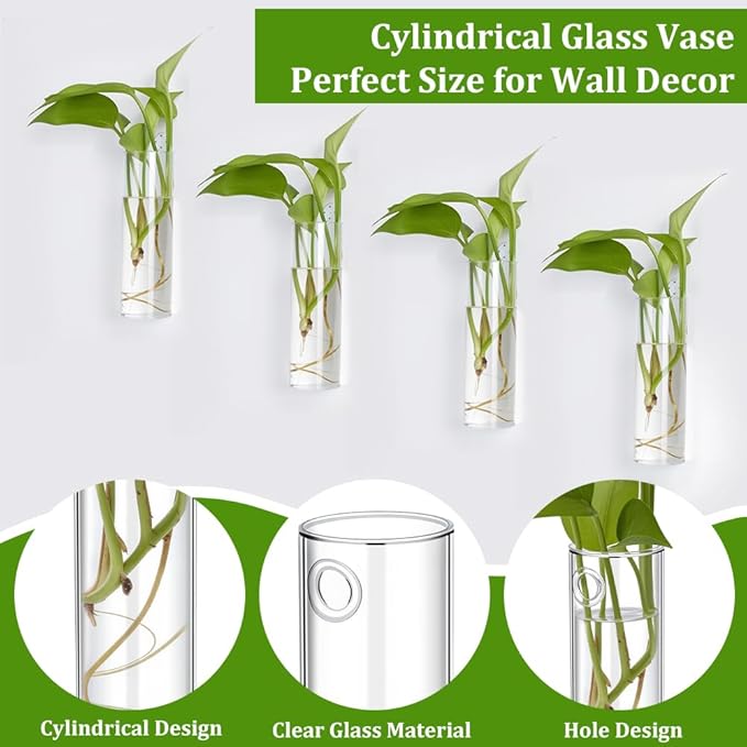 8 Sets Glass Planters, 5.9 in H x 1.87 in D Propagation Vases Tabletop Propagation Vase Tabletop Plant Decor for Growing Plants Garden Home Office Decor