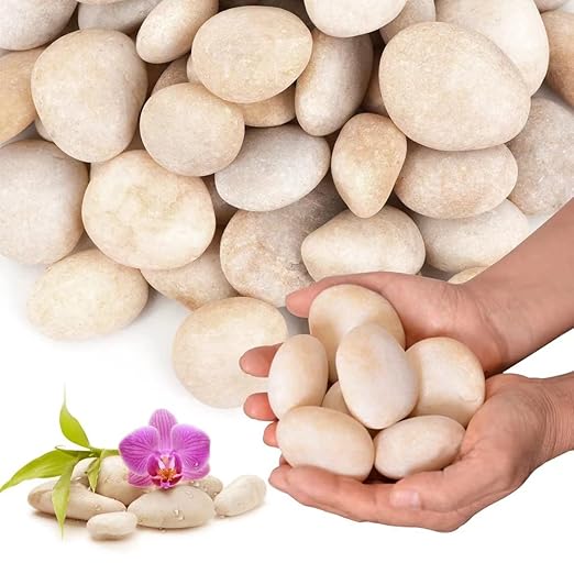 10lb Cream White River Rocks Outdoor Landscaping- Polished Pebble for Plants – Garden Decorative Stones-1-2 Large Plant Rocks,Ideal for Aquarium, Home Decor