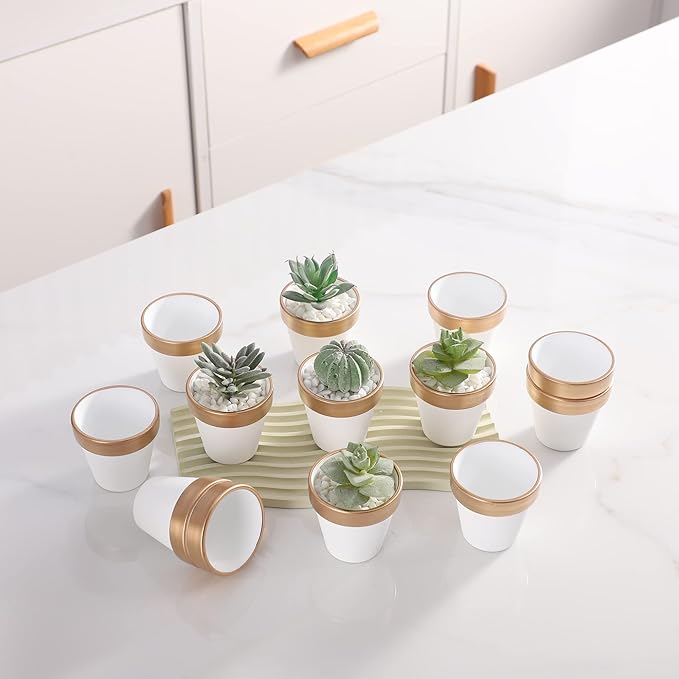 12 PCS Small Mini White Gold Clay Pots with Drainage Holes, 2.5inch Terra Cotta Pot Clay Ceramic Pottery Planter,Succulent Nursery Pot/Cactus Plant Pot,for Indoor/Outdoor Plants,Crafts,Wedding Favor