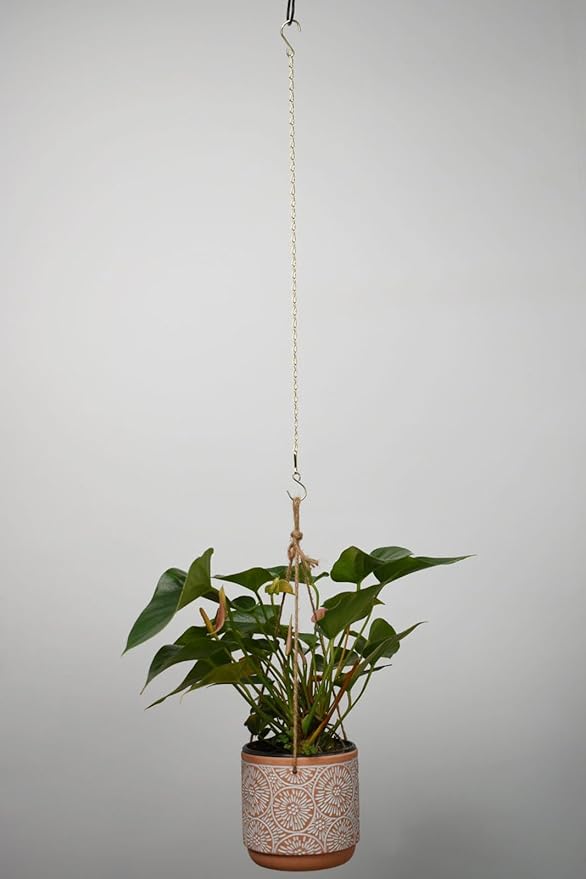 Chain for Hanging Plants,25 Inch Gold Hanging Chain,Hanging Basket Chain Kits with Hooks for Bird FeederHanging Plant Extender Porch Wind Chime (Gold, 25 Inch-4PCS)