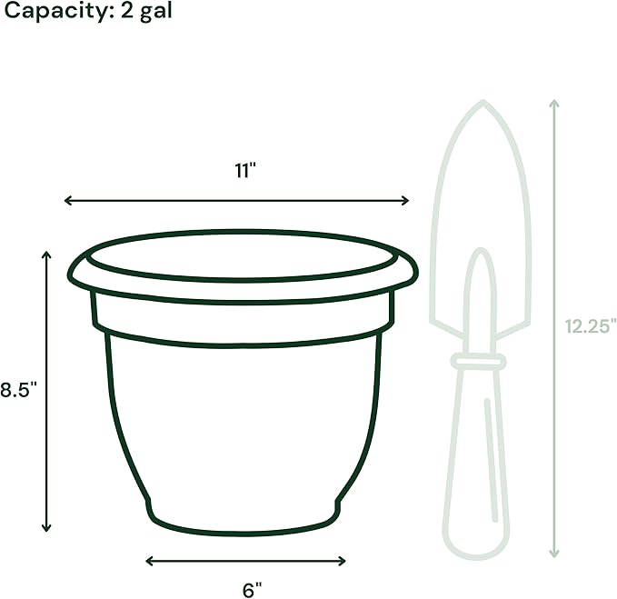 Bloem Ariana 10" Muted Terra Cotta Round Self-Watering Resin Planter Pot - Rolled Rim Indoor and Outdoor Gardening Planter