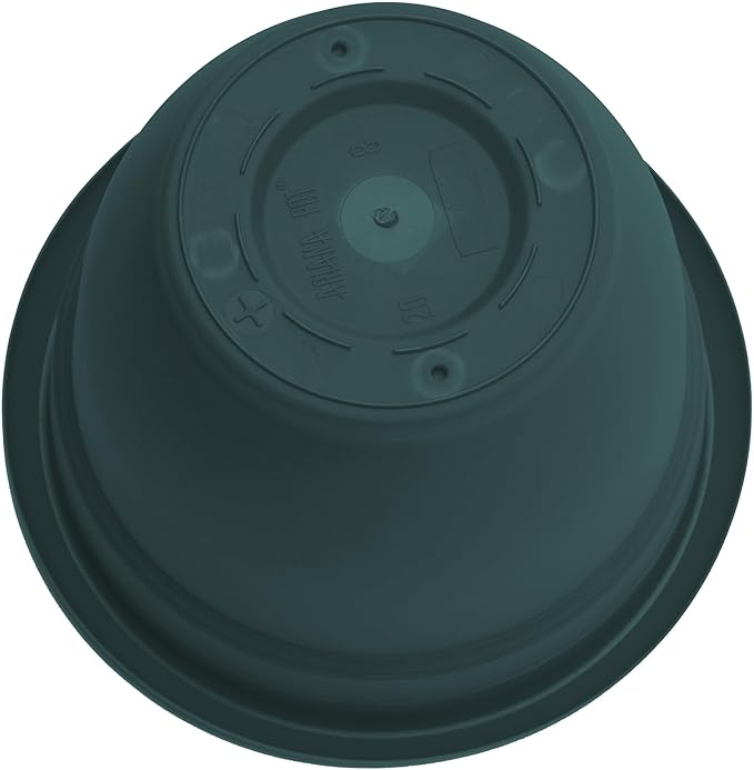 Bloem Ariana 10" Charleston Round Self-Watering Resin Planter Pot - Rolled Rim Indoor and Outdoor Gardening Planter