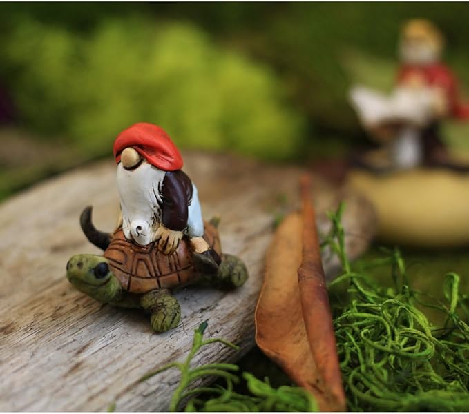 Top Collection Miniature Fairy Garden and Terrarium Gnome Riding on Turtle Statue