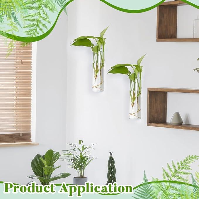 8 Sets Glass Planters, 5.9 in H x 1.87 in D Propagation Vases Tabletop Propagation Vase Tabletop Plant Decor for Growing Plants Garden Home Office Decor