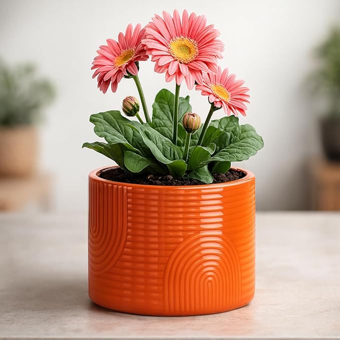 6 Inch Ceramic Plant Pot – Decorative Indoor Planter (No Drainage Hole) for Succulents, Herbs & Houseplants – Modern Tabletop Desk Planter – Terracotta