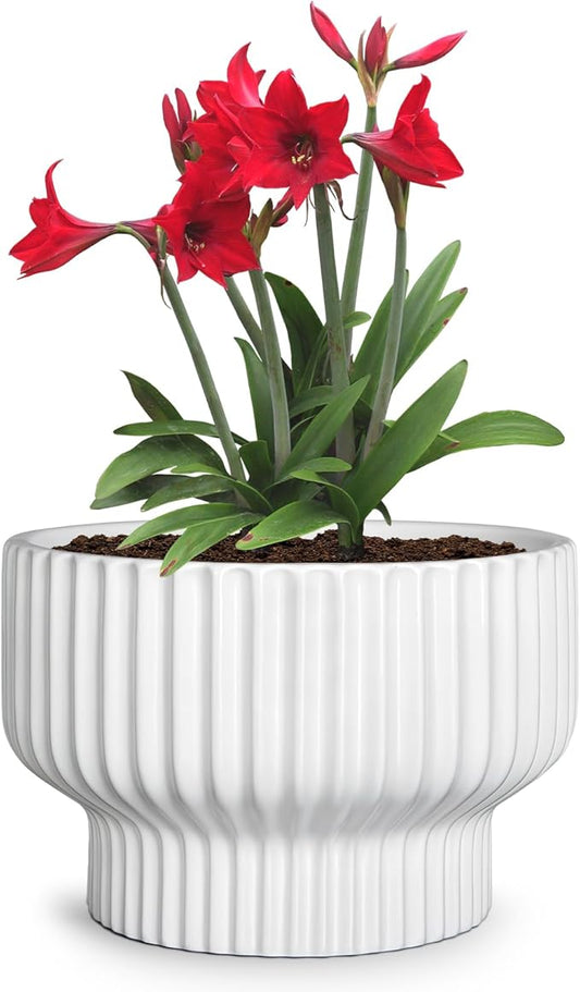 OXART Ceramic Pots for Plants, 7.7 Inch Round Plant Pot with Drainage Hole, Modern Outdoor Flower Pots Home Garden Decorative Planters for House Plants Indoor Planters (White)
