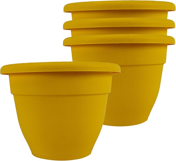 The HC Companies 6 Inch Caribbean Planter Pots with Drainage & Plug, Rolled Rim Plastic Planters for Indoor & Outdoor Plants, 4-Pack Decorative Flower Pots for Garden, Office & Home Decor, Honey