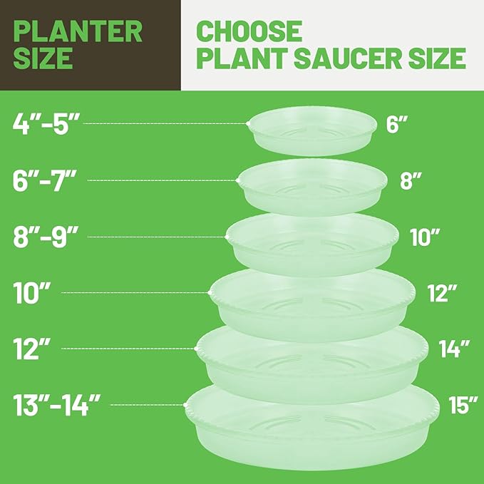 MUDEELA 6 Pack of 12 Inches Plant Saucers for Indoor, Durable Plastic Round Plant Tray Plant Dish Pant Plate to Catch Water for Flower and Plant Pot, Thicker, Stronger, Deeper, Clear