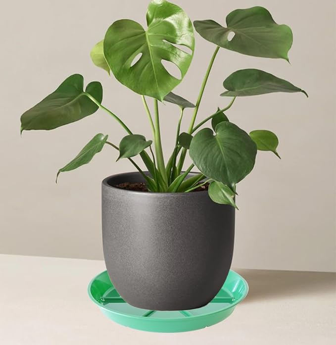 Plant Saucer Pot Tray 12 inch, 2 Packs Flower Planter Saucers and Drip Trays for Pots Planter, Heavy Duty Plant Dish Pant Plate to Catch Water for Indoor & Outdoor, Green
