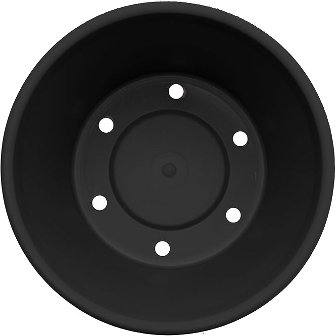 Bloem Terra 4" Diameter Round Black Resin Planter Pot with Pre-Drilled Drainage Holes for Indoor and Outdoor Gardening