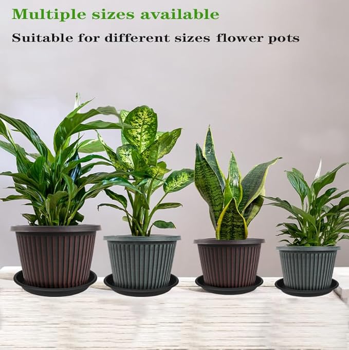 6 Pack of 12 inch Plant Saucer Plant Tray, Plastic Plant Saucer 12 inch, Heavy Duty Plant Tray for Pots, Plant Saucers for Indoors Planter, Garden Water Plate Bowls 10"/11"/12" (Black)