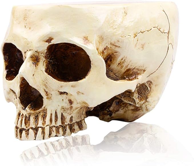RMM Halloween Decoration Retro Human Skull Head Flower Pot Planter Bed Box Container Replica Home Bar Décor,Clear