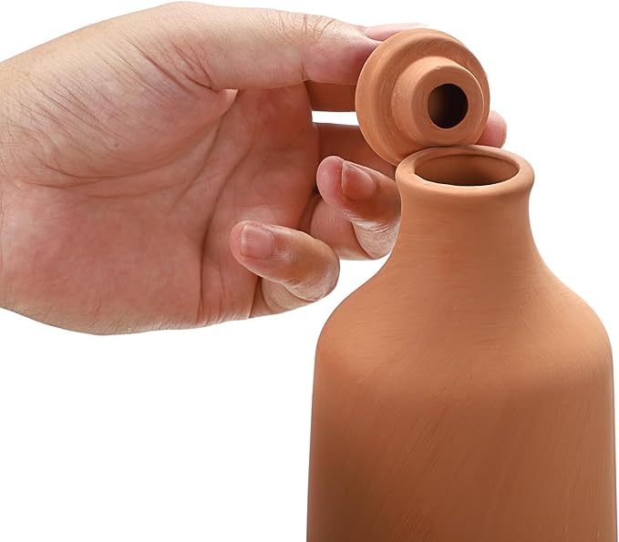 JUXYES 3 Pack Terracotta Self Watering Planter Insert, 25.3oz Plant Watering Globes with Lid, Terra Cotta Plant Waterer Spikes, Vacation Self Watering Devices for Indoor and Outdoor Potted Plant