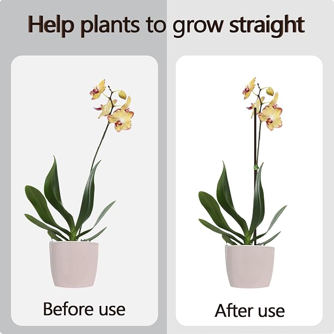 20Pcs Plant Stakes,Plant Sticks,Garden Brown Bendable Single Stem Plant Support Stakes for Indoor and Outdoor Plants,Potted Plants,Flowers Orchid Peony Rose-18 Inches