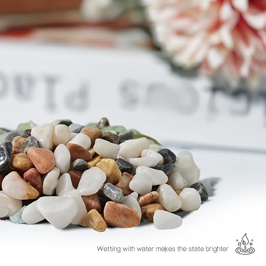 3Lb Pebbles for Indoor Plants,River Rocks for Succulent Plants,Aquarium Gravel,Decorative Stones Bonsai Garden Pebbles,Aquarium Rocks for Landscaping,Plants,Vase Fillers (Grey & White)
