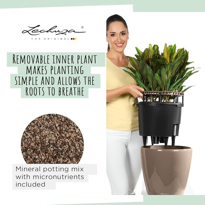 Lechuza Classico LS 21 Charcoal Metallic, Self-Watering Round Planter, D8.3 H7.9 in