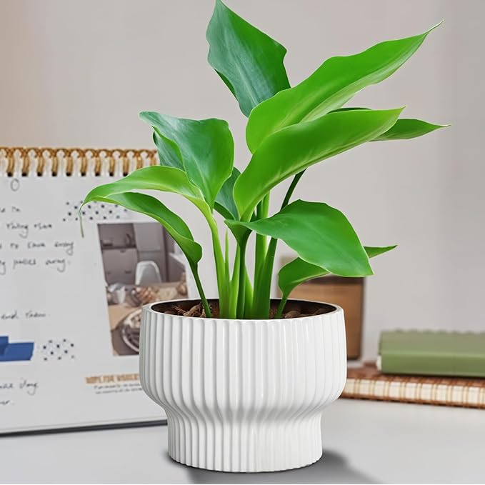 OXART Ceramic Pots for Plants, 7.7 Inch Round Plant Pot with Drainage Hole, Modern Outdoor Flower Pots Home Garden Decorative Planters for House Plants Indoor Planters (White)