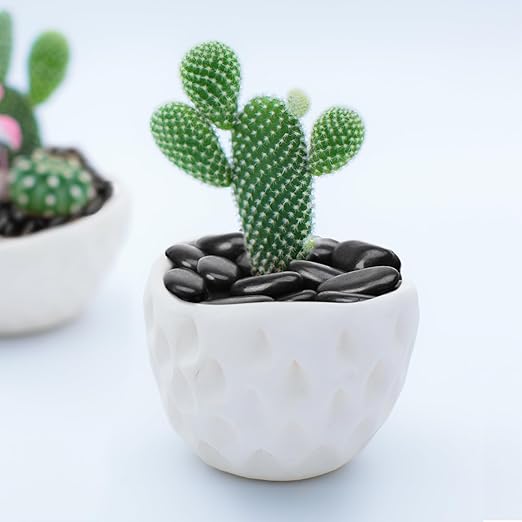 5 Pound Decorative Stones, Black Pebbles for Landscaping, Plant Rocks for Pots Outdoor and Indoor, 1"-2" Polished River Rocks for Vase Filler, Garden Decor