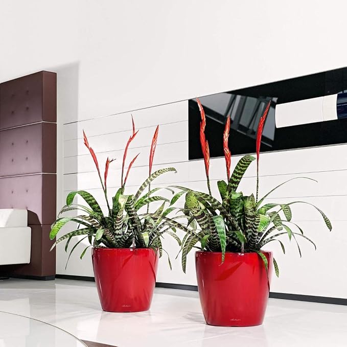 Lechuza Classico LS 43 Scarlet Red High Gloss, Self-Watering Round Planter, D16.9 H15.7 in