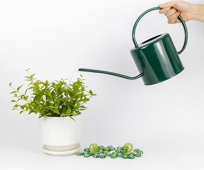 Indoor Watering Can for Houseplants - Long Spout Metal Watering Can for Indoor Plants,Succulents or Outdoor Garden Flower, 1.3L / 40 oz Green